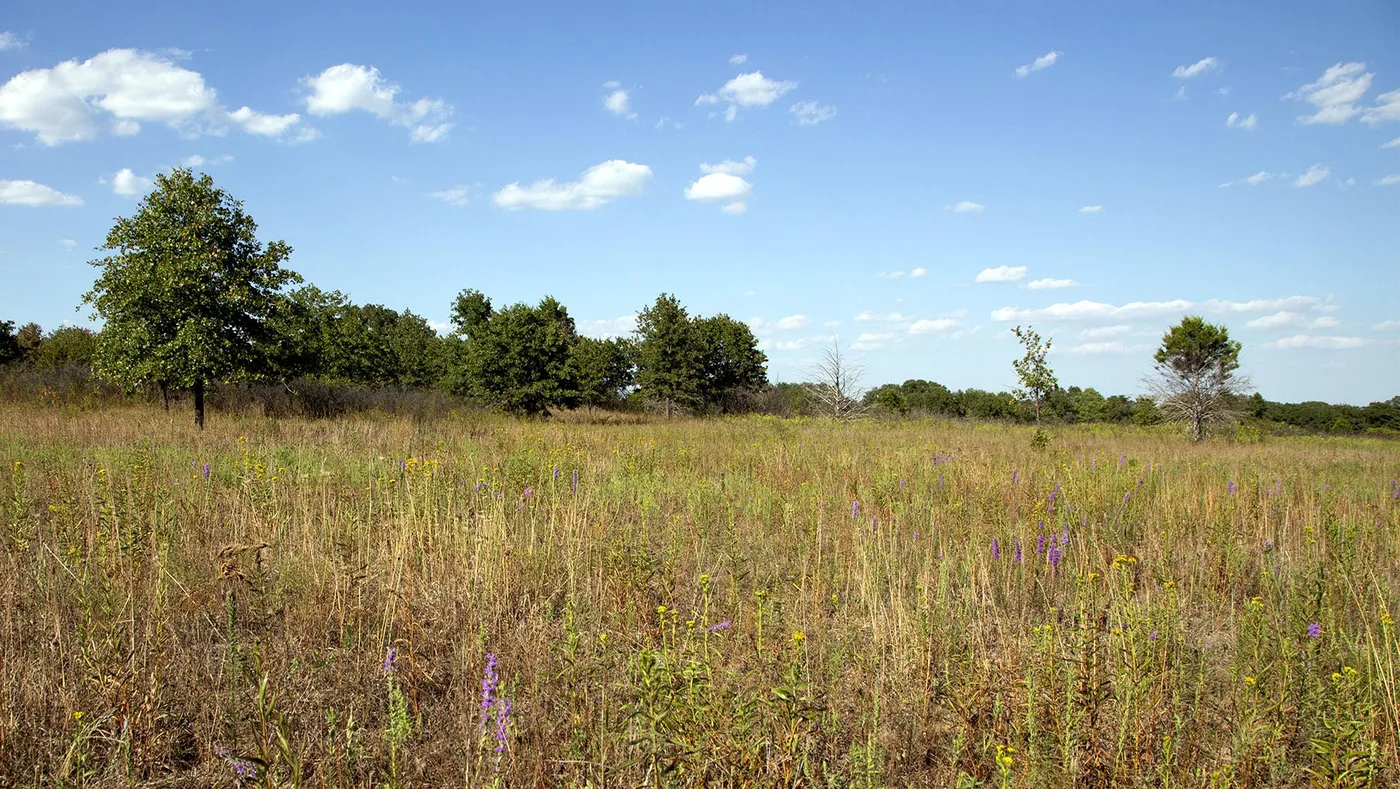 Open coastal prairie acreage ready for work