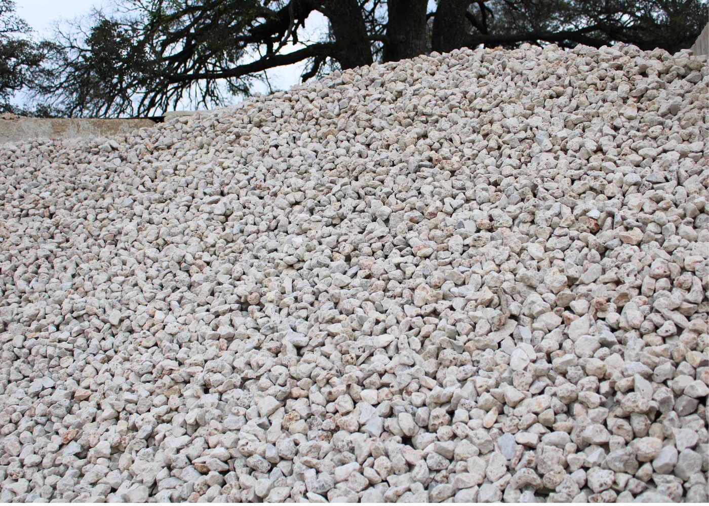 Crushed rock road base stockpiled under an oak tree